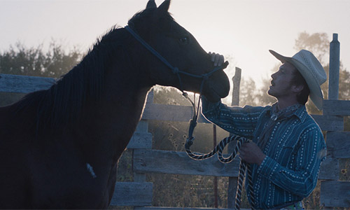 the rider movie still