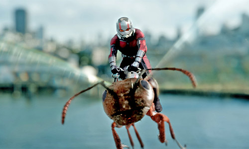 ant man movie still