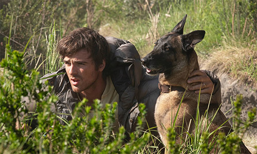 the dog stars movie still